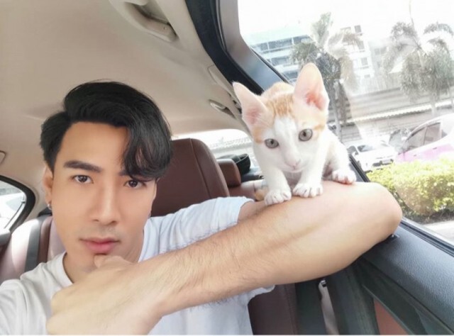 โย่ง อาร์มแชร์ เล่าถึงความน่ารักของ "ส้มหยุด " แมวเหมียวที่ใครๆก็หลงรัก