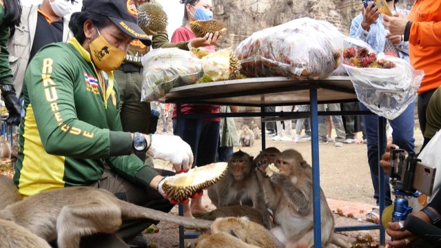 บิณฑ์-ไทด์ นำอาหารเลี้ยงลิงกว่า10คันรถ-ทุเรียน2ตัน