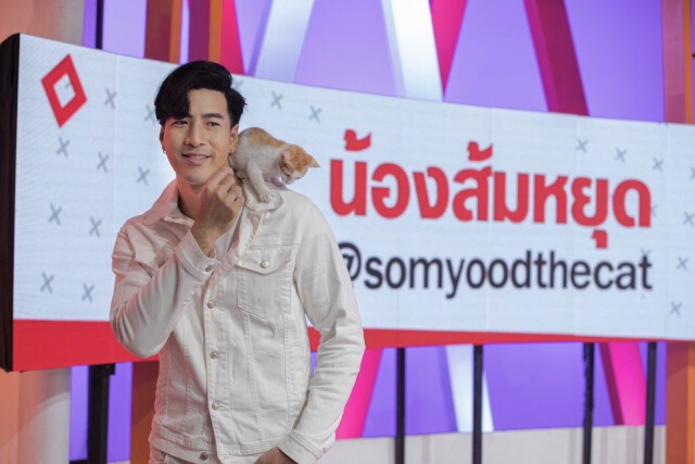 โย่ง อาร์มแชร์ เล่าถึงความน่ารักของ "ส้มหยุด " แมวเหมียวที่ใครๆก็หลงรัก