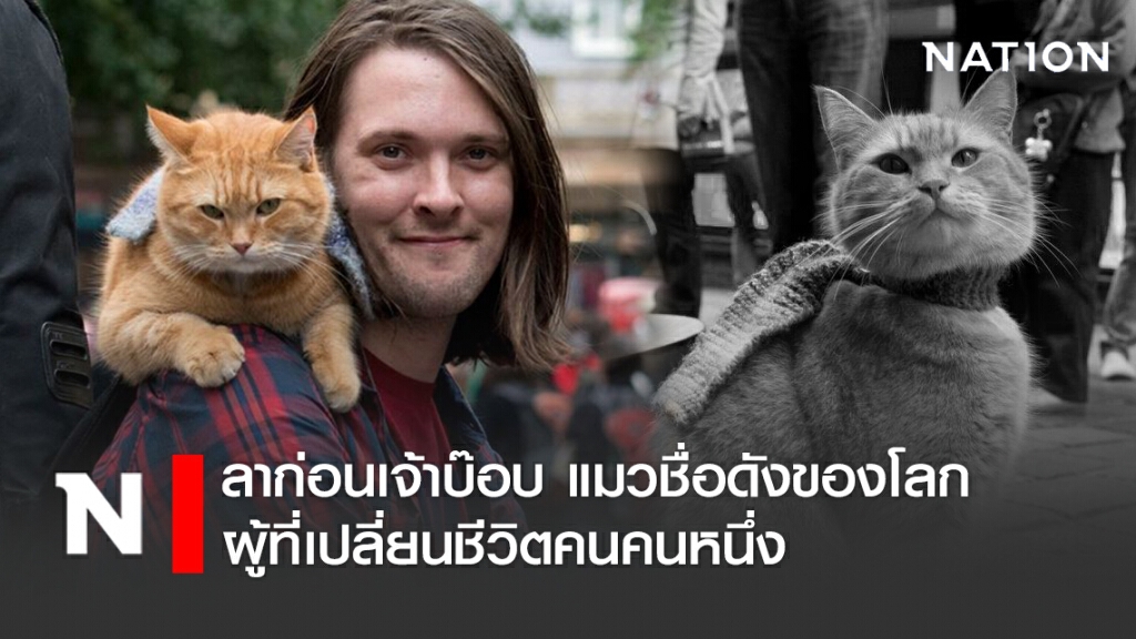 ลาก่อนเจ้าบ๊อบ แมวชื่อดังของโลกผู้ที่เปลี่ยนชีวิตคนคนหนึ่ง