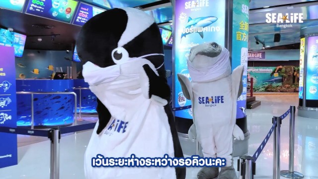 พาเที่ยว ซีไลฟ์ แบงคอก  กับบุคลากรทางการแพทย์ ในแบบ นิวนอร์มอล