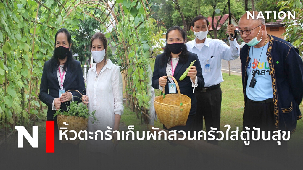 หิ้วตะกร้าเก็บผักสวนครัวแปลงใหญ่ ใส่ตู้ปันสุข