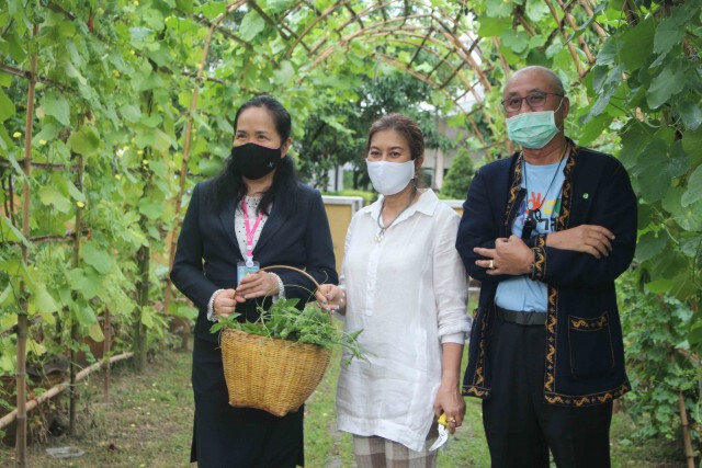 หิ้วตะกร้าเก็บผักสวนครัวแปลงใหญ่ ใส่ตู้ปันสุข