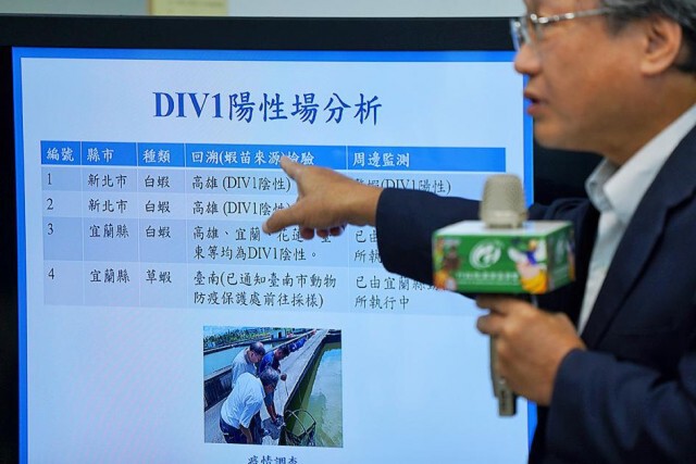 ไวรัสกุ้งระบาดหนักในไต้หวัน พบต้นตอมาจากจีน