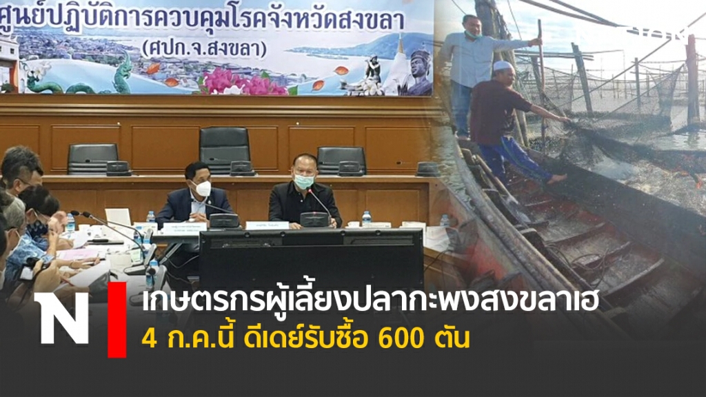 เกษตรกรผู้เลี้ยงปลากะพงสงขลาเฮ 4 ก.ค.นี้ ดีเดย์รับซื้อ 600 ตัน