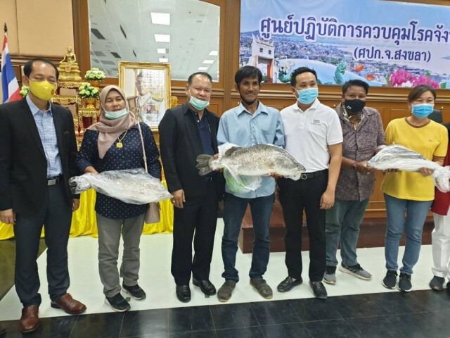 เกษตรกรผู้เลี้ยงปลากะพงสงขลาเฮ 4 ก.ค.นี้ ดีเดย์รับซื้อ 600 ตัน