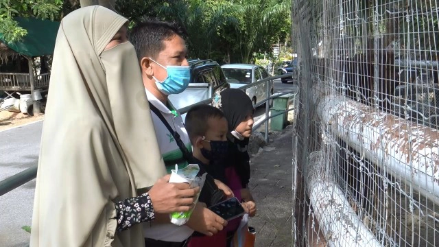 "ข้าวตู ข้าวตัง"  ลูกนกคาสโซวารี เซเลป! ประจำสวนสัตว์สงขลา