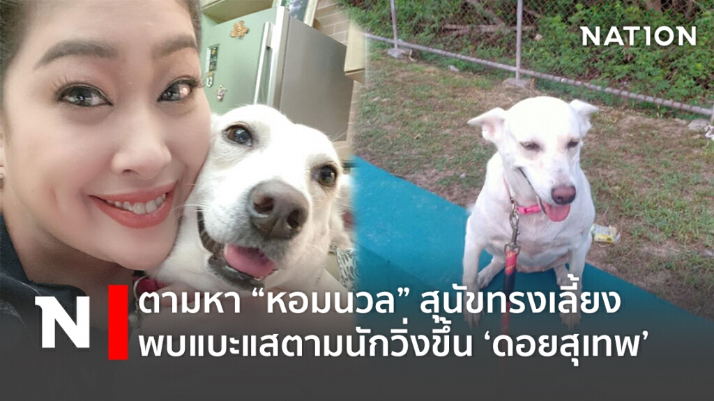 ประกาศตามหา "หอมนวล" สุนัขทรงเลี้ยง