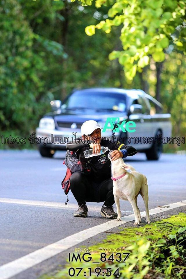 ประกาศตามหา "หอมนวล" สุนัขทรงเลี้ยง