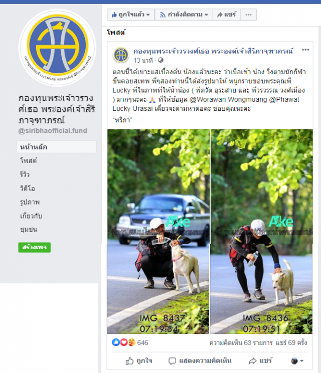 ประกาศตามหา "หอมนวล" สุนัขทรงเลี้ยง