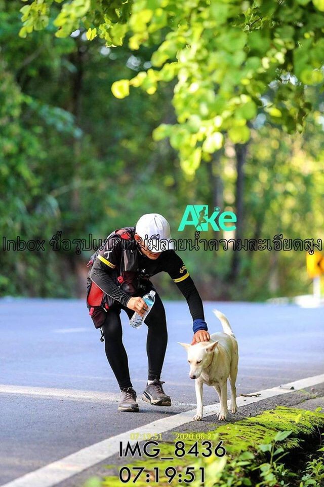 ประกาศตามหา "หอมนวล" สุนัขทรงเลี้ยง