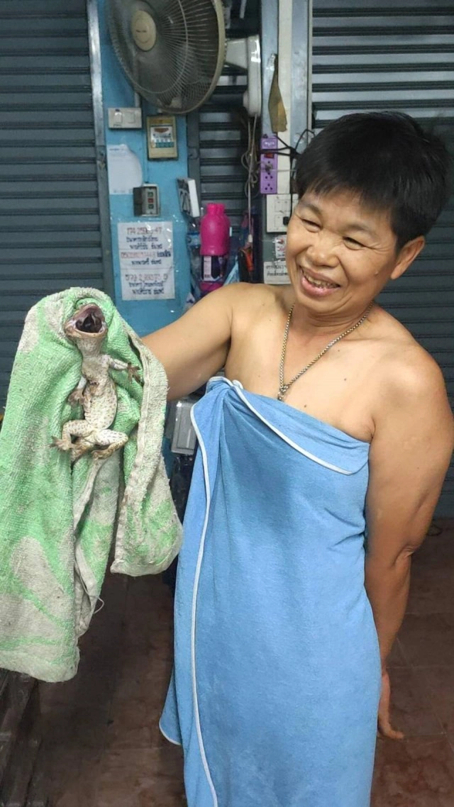 สาวลพบุรีใจถึง จับตุ๊กแกมือเปล่าไม่ง้อกู้ภัย