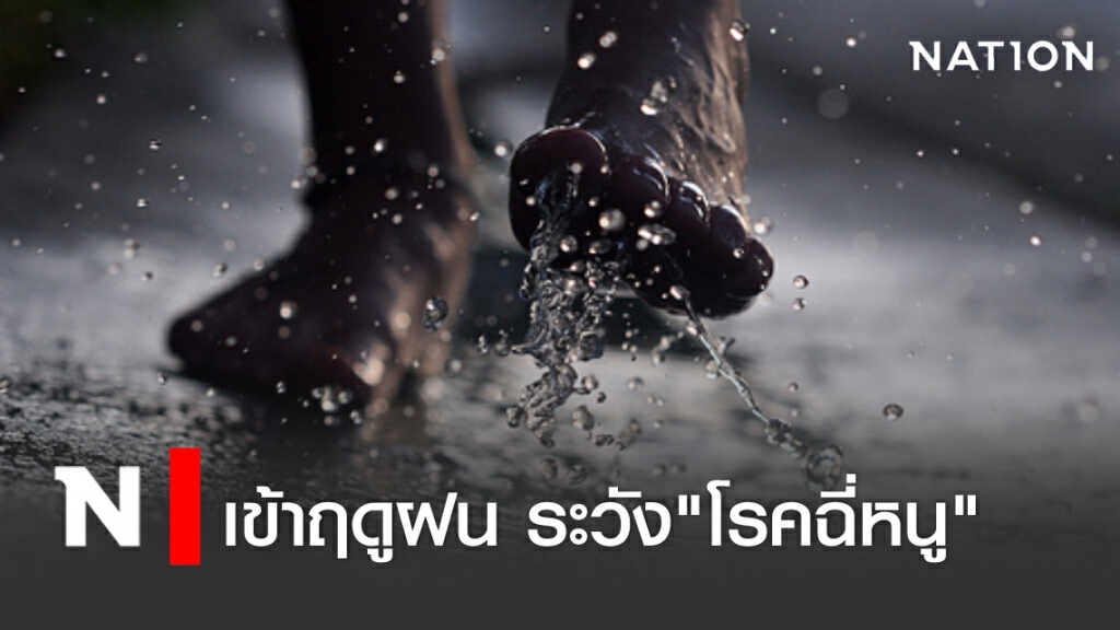 เข้าฤดูฝน ระวัง"โรคฉี่หนู"