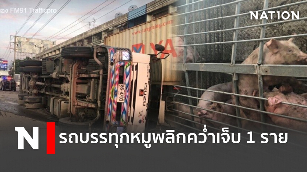 รถบรรทุกหมูพลิกคว่ำเจ็บ1ราย รถบรรทุกหมูพลิกคว่ำเจ็บ1ราย