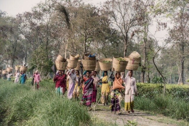 "ความไม่เท่าเทียมกัน" คร่าชีวิตหญิงอินเดีย ผู้ติดเชื้อโควิด-19