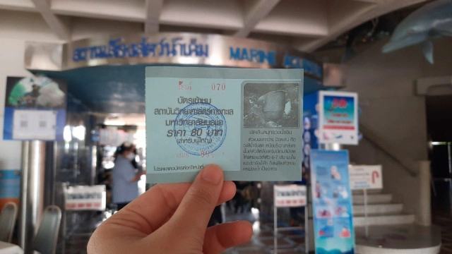 ปล่อยใจไปกับสัตว์น้ำ ที่ "พิพิธภัณฑ์ฯ บางแสน"