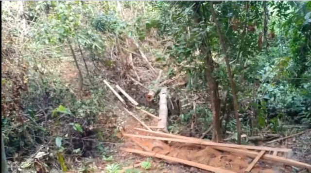 ป่าต้นน้ำสายบุรี 'สันกาลาคีรี' ราบเตียน 36 ไร่