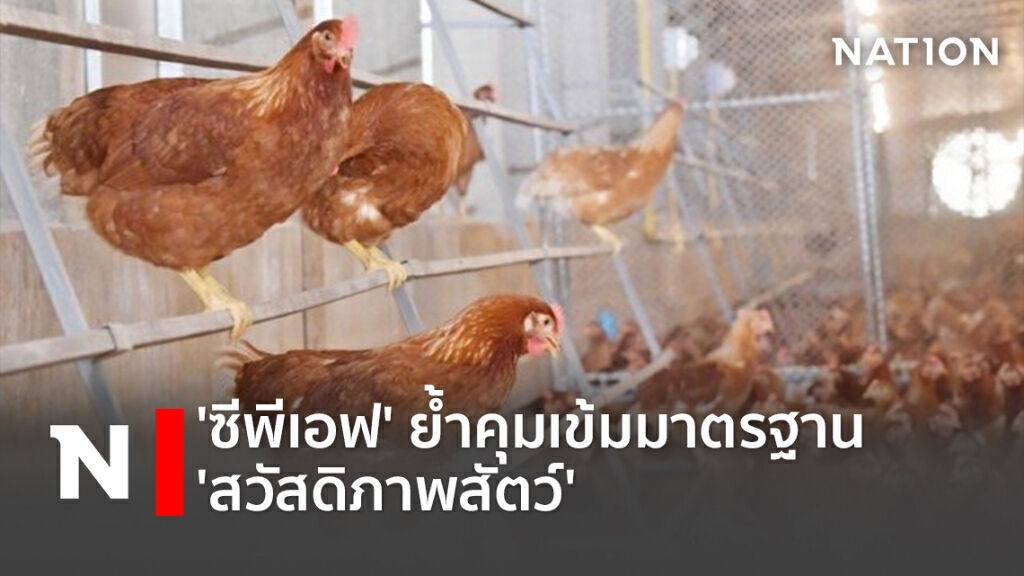 'ซีพีเอฟ' ย้ำคุมเข้มมาตรฐาน 'สวัสดิภาพสัตว์'