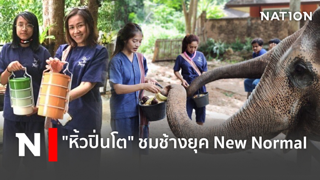 "หิ้วปิ่นโต" ชมช้างยุค New Normal