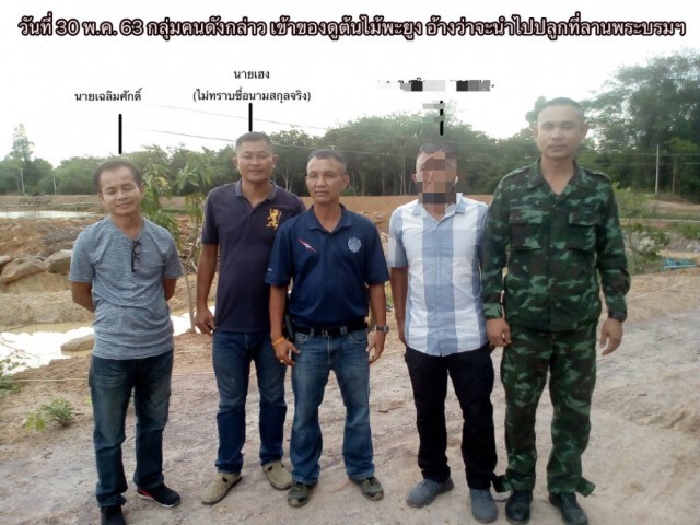 รวบ"ร.ต.ต."ร่วมขบวนการค้าไม้พะยูง