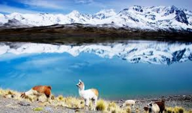 ไขปริศนาโลก! ทำไม 'ชาวแอนดีส' มีภูมิต้านโควิด?