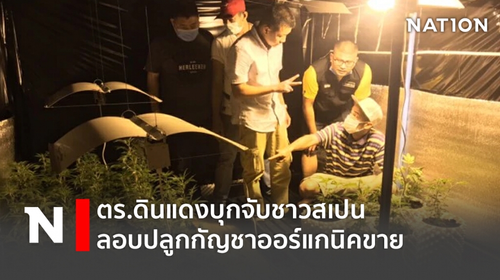 ตร.ดินแดงบุกจับชาวสเปนลอบปลูกกัญชาออร์แกนิคขาย ตร.ดินแดงบุกจับชาวสเปนลอบปลูกกัญชาออร์แกนิคขาย