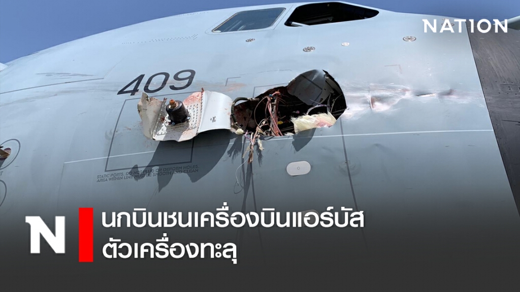 นกบินชนเครื่องบินแอร์บัส กองทัพอากาศสเปน ตัวเครื่องทะลุ นกบินชนเครื่องบินแอร์บัส กองทัพอากาศสเปน ตัวเครื่องทะลุ