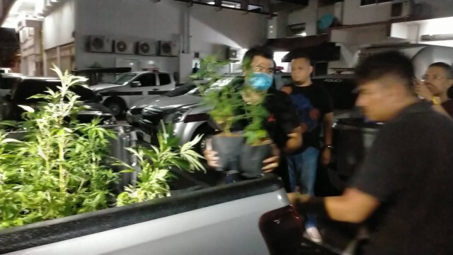 ตร.ดินแดงบุกจับชาวสเปนลอบปลูกกัญชาออร์แกนิคขาย