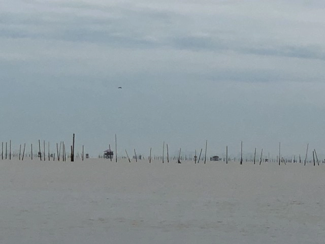 หน่วยซีลผนึกกำลัง 100 นายเข้าเคลียร์พื้นที่แก้ปัญหาคอกหอย