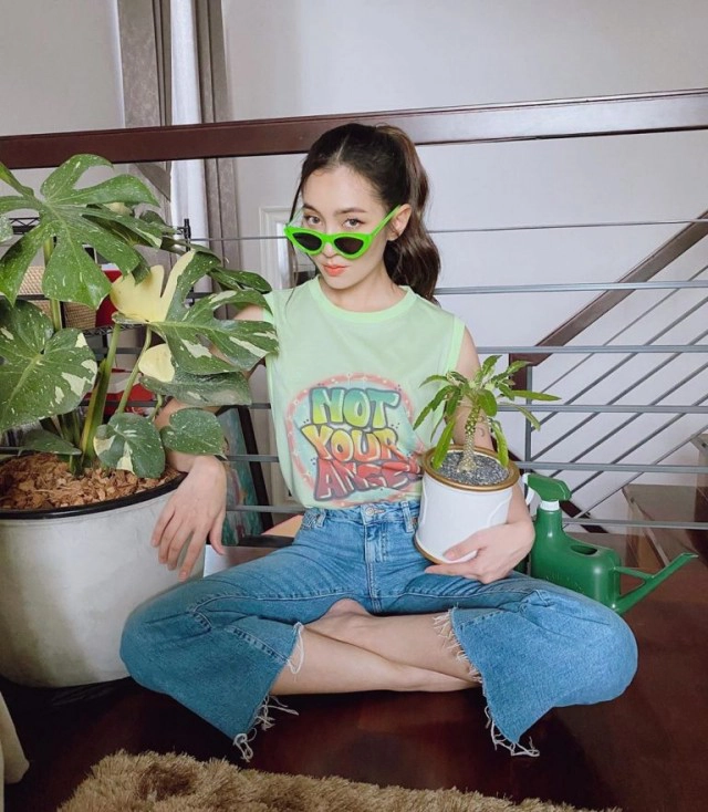 ส่องเทรนด์ดาราปลูกต้นไม้ฟอกอากาศ ใครปลูกอะไรบ้าง!!