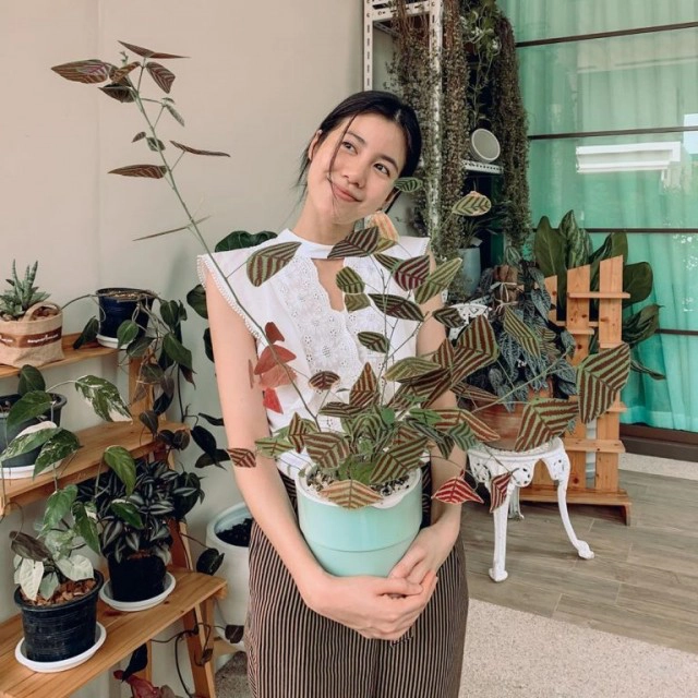 ส่องเทรนด์ดาราปลูกต้นไม้ฟอกอากาศ ใครปลูกอะไรบ้าง!!