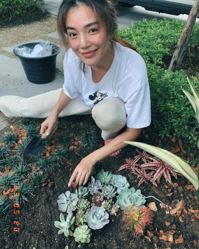 ส่องเทรนด์ดาราปลูกต้นไม้ฟอกอากาศ ใครปลูกอะไรบ้าง!!