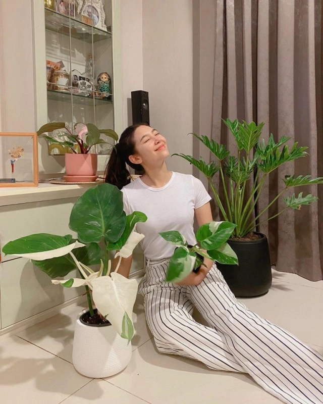 ส่องเทรนด์ดาราปลูกต้นไม้ฟอกอากาศ ใครปลูกอะไรบ้าง!!