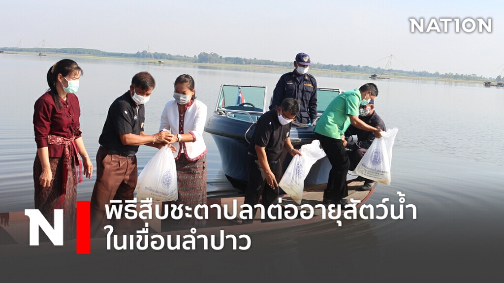 พิธีสืบชะตาปลาต่ออายุสัตว์น้ำในเขื่อนลำปาว พิธีสืบชะตาปลาต่ออายุสัตว์น้ำในเขื่อนลำปาว