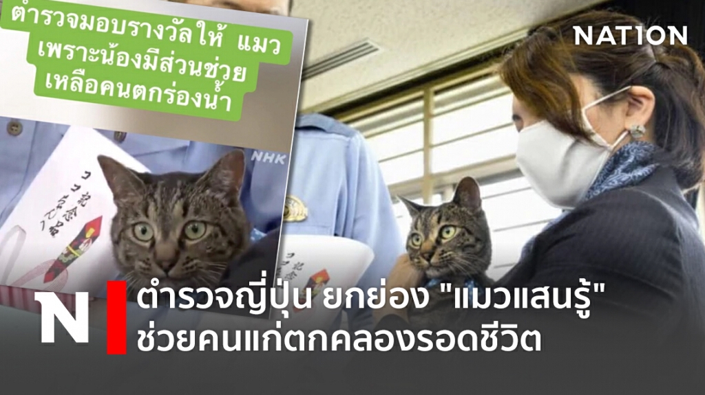 ตำรวจญี่ปุ่น ยกย่อง "แมวแสนรู้" ช่วยคนแก่ตกคลองรอดชีวิต ตำรวจญี่ปุ่น ยกย่อง "แมวแสนรู้" ช่วยคนแก่ตกคลองรอดชีวิต