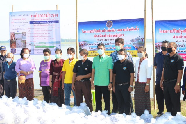 พิธีสืบชะตาปลาต่ออายุสัตว์น้ำในเขื่อนลำปาว
