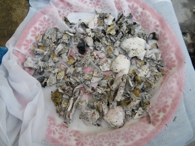 ฮือฮา!! อัฐิแม่เฒ่ากลายเป็นสีทอง