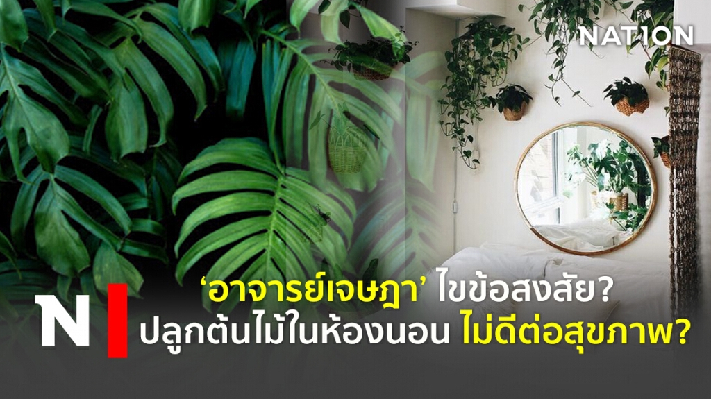 ‘อาจารย์เจษฎา’ ไขข้อสงสัย?  ปลูกต้นไม้ในห้องนอน ไม่ดีต่อสุขภาพ ??