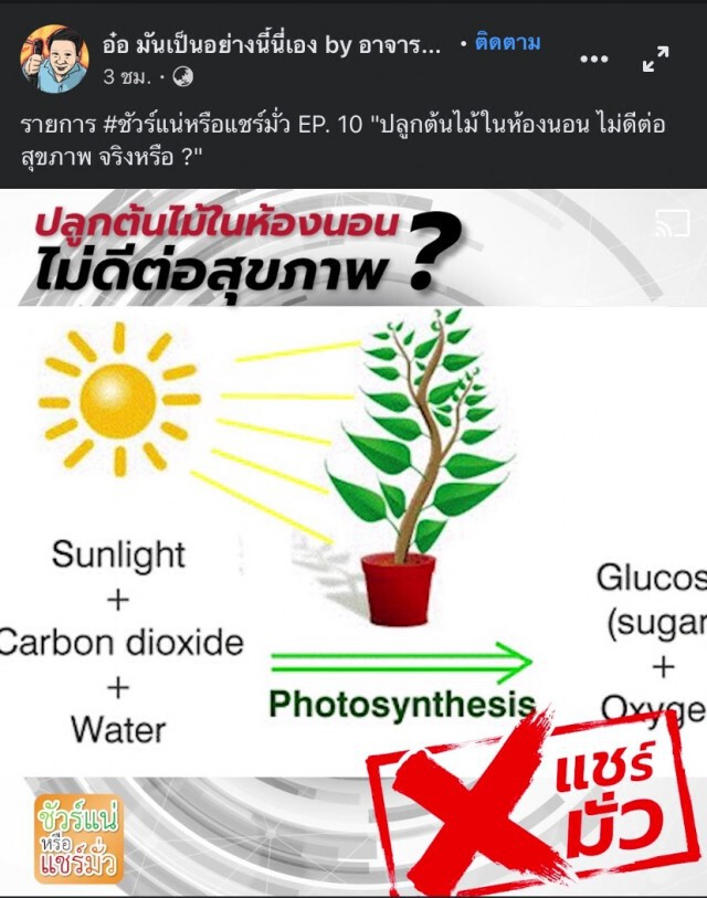 ‘อาจารย์เจษฎา’ ไขข้อสงสัย?  ปลูกต้นไม้ในห้องนอน ไม่ดีต่อสุขภาพ ??