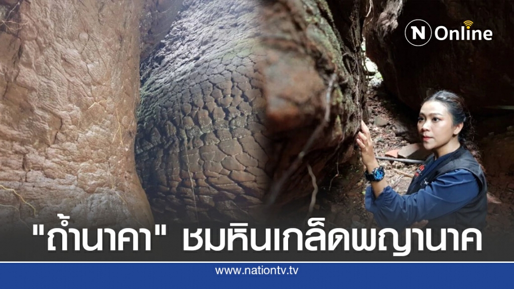 เปิด "ถ้ำนาคา" พาชมหินเกล็ดพญานาค จ.บึงกาฬ เปิด "ถ้ำนาคา" พาชมหินเกล็ดพญานาค จ.บึงกาฬ