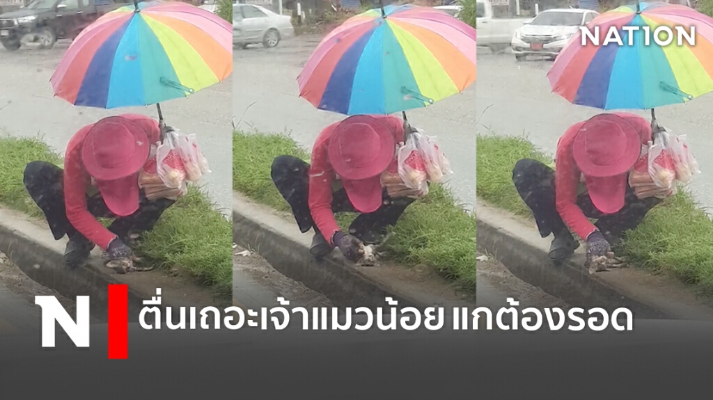 หนุ่มขายโดนัท ปั๊มหัวใจแมวถูกรถชนจะต้องไม่เป็นอะไร หนุ่มขายโดนัท ปั๊มหัวใจแมวถูกรถชนจะต้องไม่เป็นอะไร