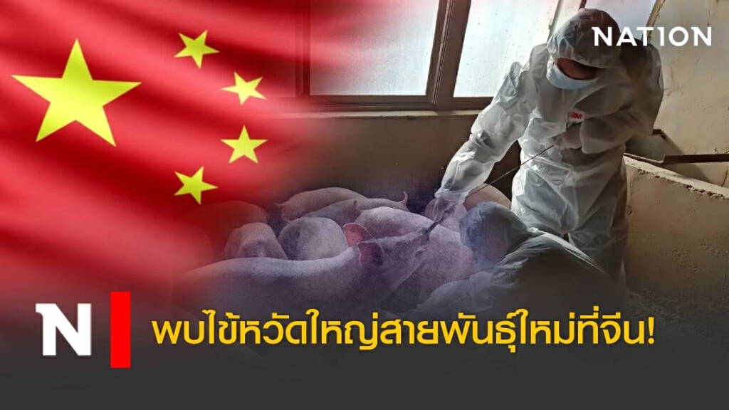 พบไข้หวัดใหญ่สายพันธุ์ใหม่ที่จีน มีต้นตอมาจากหมู