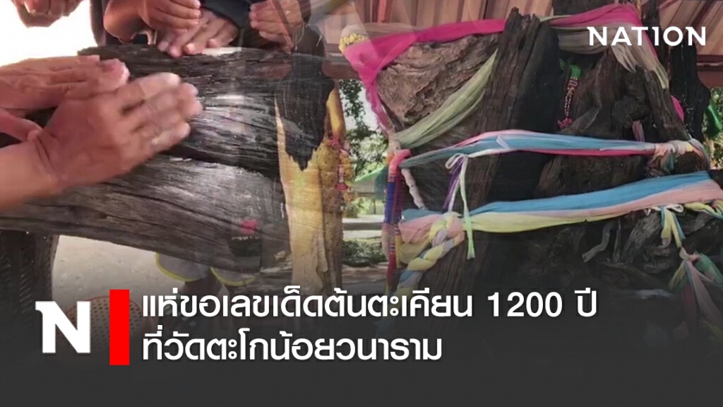 โค้งสุดท้ายชาวโคราช!! แห่ขอเลขเด็ดต้นตะเคียน 1200 ปี ที่วัดตะโกน้อยวนาราม