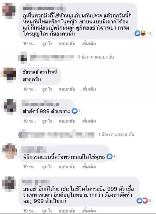 จัดชุดใหญ่ แก้บนขายที่ได้ นำหัวหมูถวายวัดกิ่งแก้วเกือบพันหัว