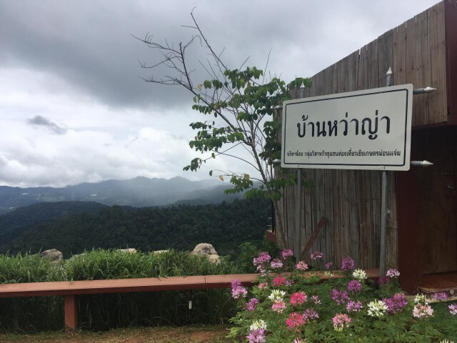 "ม่อนแจ่ม"คึกคัก นักเที่ยวแห่ขึ้นดอย กางเต็นท์นอน