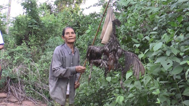 พบซากไก่ เครื่องสังเวยผี ข้างศาลาริมทางที่ผู้กองหนุ่มได้ยินเสียงปริศนา