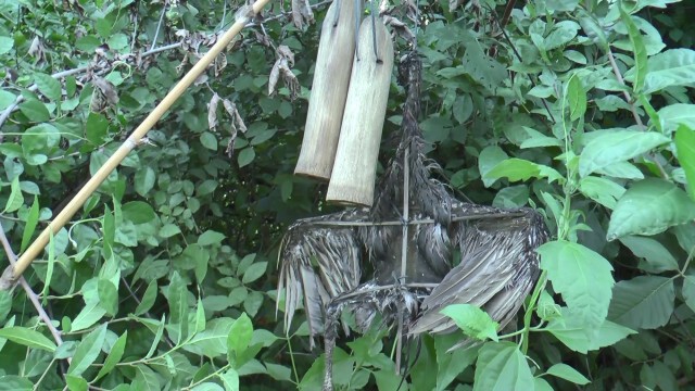 พบซากไก่ เครื่องสังเวยผี ข้างศาลาริมทางที่ผู้กองหนุ่มได้ยินเสียงปริศนา