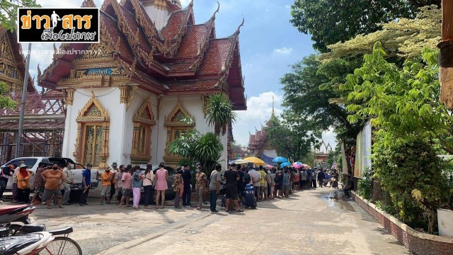 จัดชุดใหญ่ แก้บนขายที่ได้ นำหัวหมูถวายวัดกิ่งแก้วเกือบพันหัว