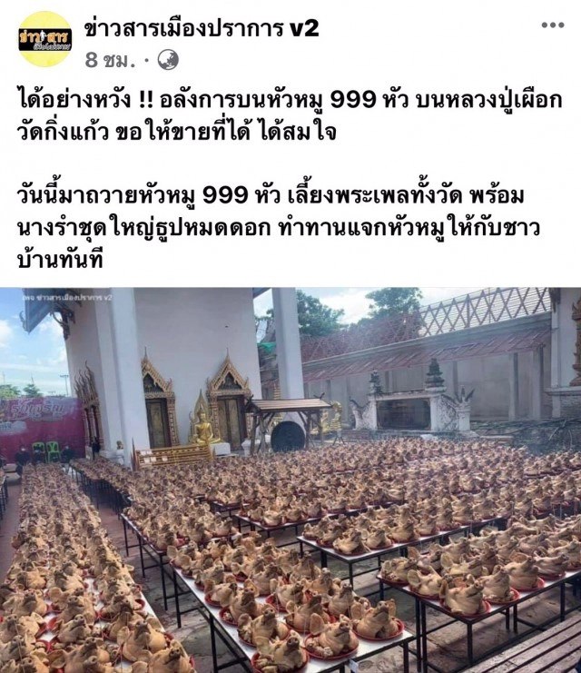 จัดชุดใหญ่ แก้บนขายที่ได้ นำหัวหมูถวายวัดกิ่งแก้วเกือบพันหัว