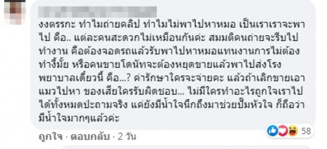 หนุ่มขายโดนัท ปั๊มหัวใจแมวถูกรถชนจะต้องไม่เป็นอะไร